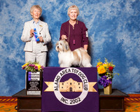 Havanese #7 Sun WB NC Mchugh Deborah & Dodi David Judge Mrs Sharon Newcomb