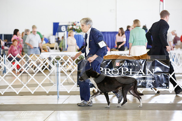 _CK_9378-DallasJul2014-HR3