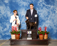 French Bulldog #17 fri BOB Kim Moore Agent Brian Livingston Judge Anne Katona