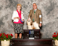 Shih Tzu #12 Sun NC WB Eckes Gay Judge Nancy Smith Hafner