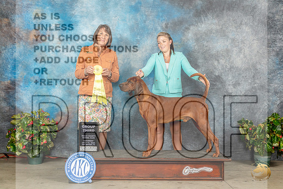 Redbone Coonhound #5 Sat G3 Judge Helene NietschMJP_9455_SA2023_HR3