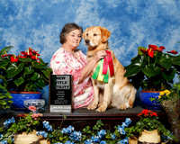 Golden Retriever #30 Sun NT Farmer Sherri and Donna Todd