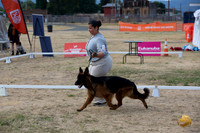 *Ringside Longview WA 2024 German Shepherd Dog #?