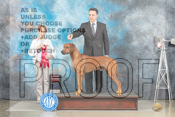 Rhodesian Ridgeback #9 Sun G2 Judge Sharon Derrick-_MJ_5148e_Amarillo_2022-HR3