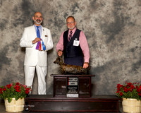 Dachshun Longhaired #8 Sat BOS Nash Aubrey and David Temple Judge Kenneth Levison