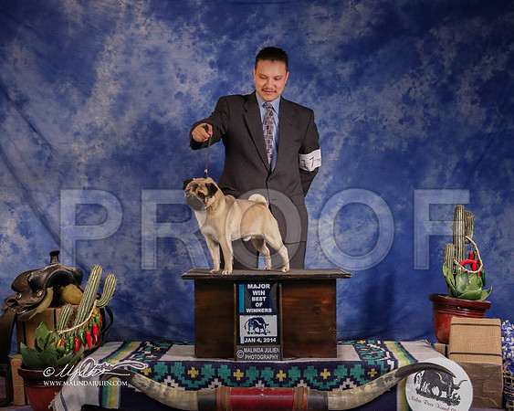 pug-3685-GRJan14-HR