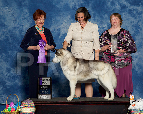 _R1_8212-HuskySltyMar2016-HR3