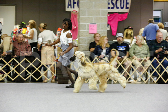 _JJ_9074-AfgBeltonOct2014-HR3