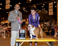 Bulldog #32 Sun BOS WB Pittman Vincenza & Bob Pittman & David Clark Judge Dr Robert A Indeglia