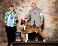 Boxer #9 Fri G1 Robbins Cheryl and Keith Agent Michael Shepherd Judge Doris Cozart