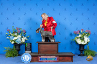Miniature Schnauzer #6 THUR OH G2 Judge Sandra Lex