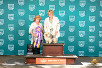 Pomeranian #213 Sun AltBIS Judge Sharron Griffin