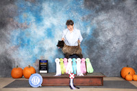 Cairn Terrier #5 All Wins for Weekend