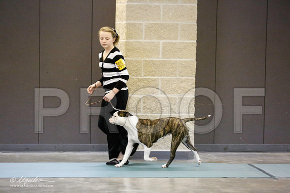 _RH_8737-BeltonJan2015-HR3