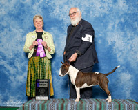 #16 Sun WB Gregory Anderson and Franne Berez Judge Jan Dykema