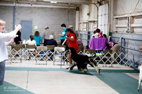 Sight Hound Group Sat S1 Ring