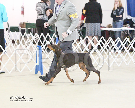 Dobe-0483
