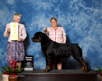 Rottweiler #9 Sun G3 Namour Elaine Judge Lew Olson