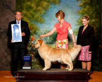 Golden Retriever #6 Sun G1 Curran Shari and Haley Agent Diane Merller Judge Dana Cline