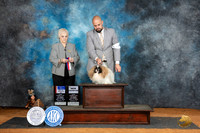 Pekingese #16 Sat BOSBOWCH Judge Suzanne Dillin