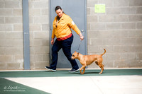Terrier Group Sat S1 Ring