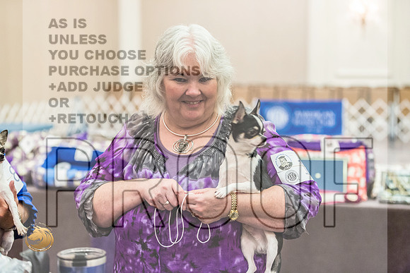 *Candids Fri ChihuahuaJJL_3612_HstnTOY_2022_HR3