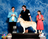 #6 Sat Vet Sweeps Bruce Barnes and Joanne Barnnes Judge Tedi Devlin