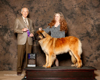 Leonberger #18 Sat Maj WB West PEter and Teresa Judge Roger Hartinger