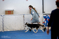 Puppy Bitch 12-18 Sat Ring