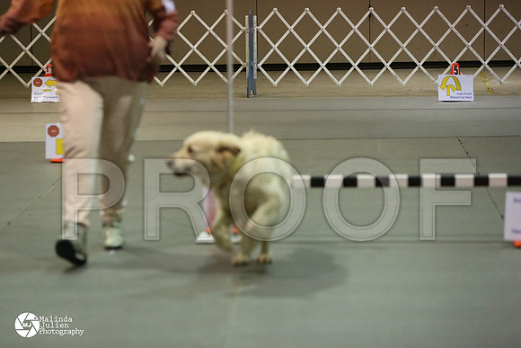 MJ2_0462-MsqtApr14-HR3