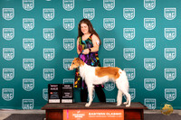 Silken Windhounnd #157 Sat BMTDCH Judge William Chrazanowski