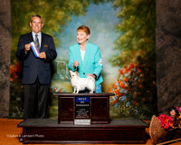 Chihuahua Long Coat #6 Sat BOW Evans Linda Judge Dana Cline