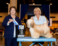 Tibetan Terrier #14 Sat BOW Maj Birgl Sally A Judge Ms Nikki Riggsbee