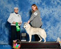 #? Sun Best Puppy Judge Murrel Purkhiser