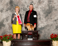 Pomeranian #5 Sat G2 Armstrong Michael and Christina and Darlene Licastr Judge Nancy Smith Hafner