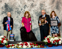 Pulik #5 Thurs RBIS Charles E and J Beaudoin and L Pitts and P Kelly and S Huebner Agent Linda Pitts Judge Robert Stein