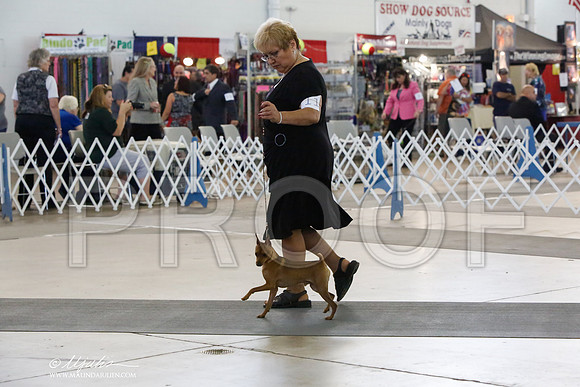 _HR_1363-DallasJul2014-HR3