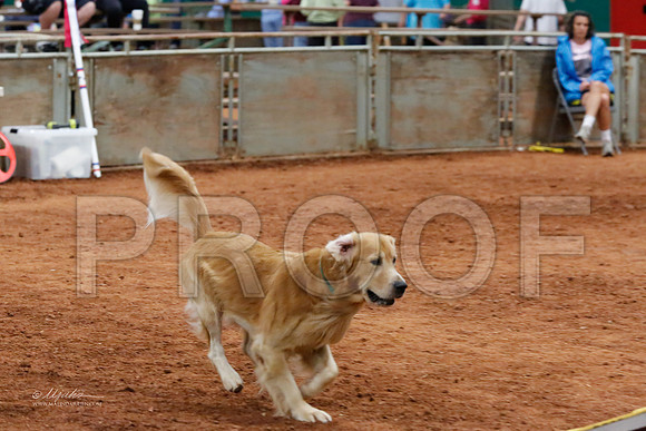 StdOpen24-6421-WFOct2013-HR