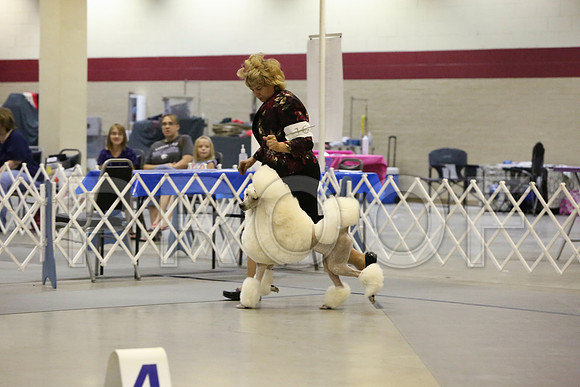 NSportGr-2905-Amrllo13-HR