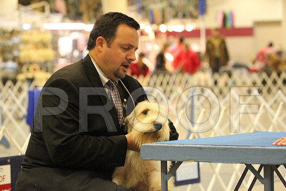 MJS_1416