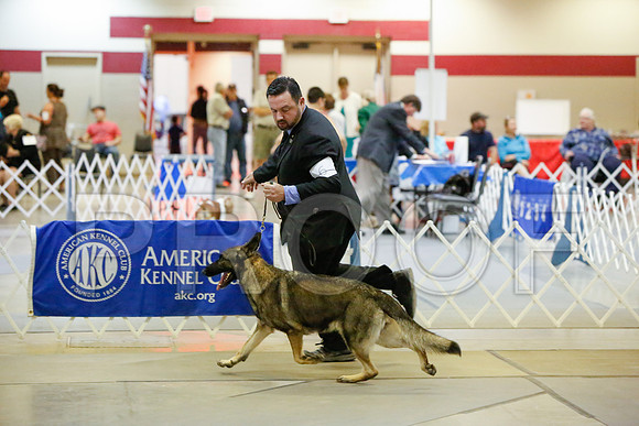 _JJ_2745-AmarilloSept2014-HR3