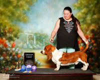 Basset Hound Sat S2 G1 Shelli McCary