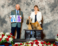 Lhasa Apso #12 Fri NC BOW Maj Jarrett Linda & Joyce Helen Kimzey Sue Cannimore AKC Registered Handler Judge Mr Robert Stein
