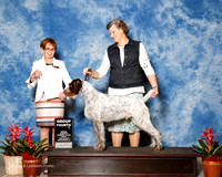 Petit Basset Griffon Vendeen #5 Fri G4 Duelk Brad and Deborah king Major Agent Clint Livingston Judge Anne Katona