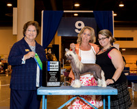 Chinese Crested #11 Sat First Place BBE Krueger Peggie A & Brandi Ritchie Judge Ms Nikki Riggsbee