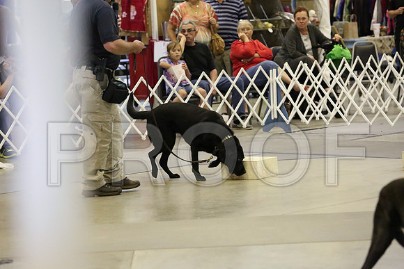 MJ4_1439-Amrllo13-HR