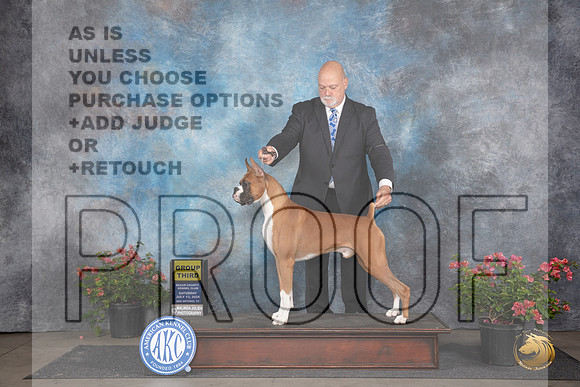 Boxer #11 Sat G3 Judge Paul F Willhauck__JP_5264_San Antonio_2024_HR3