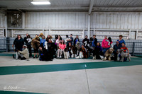Poodle Group Sun