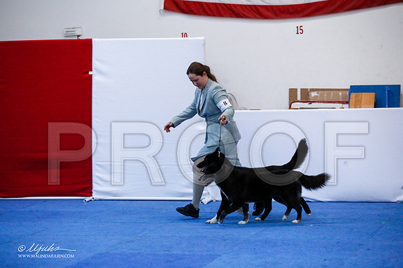 _JJ_0229-HuskySltyMar2016-HR3