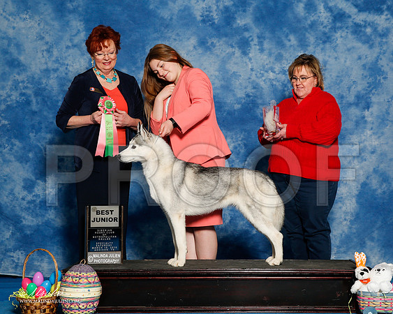 _R1_8234-2-HuskySltyMar2016-HR3